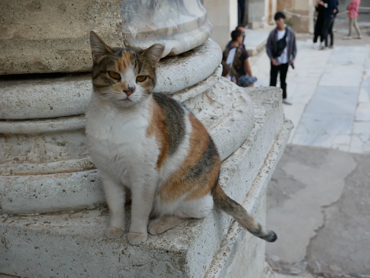 P1010178.JPG
