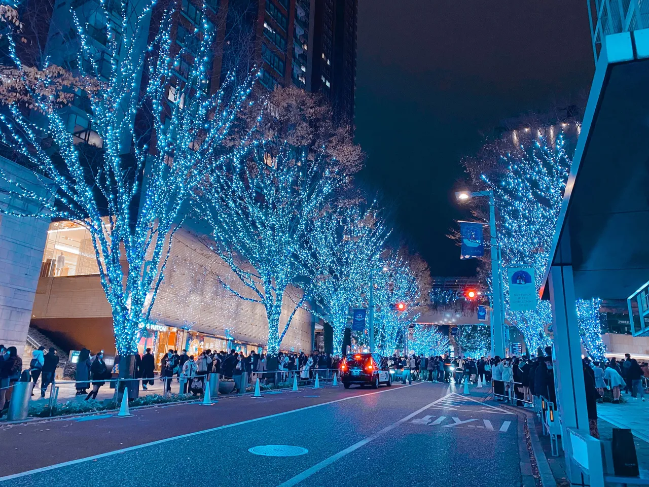 So beautifully litted street