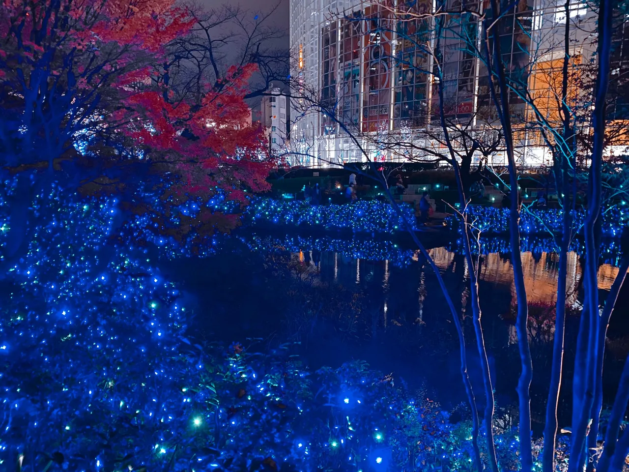 Remnants of autumn in the sea of blue color?