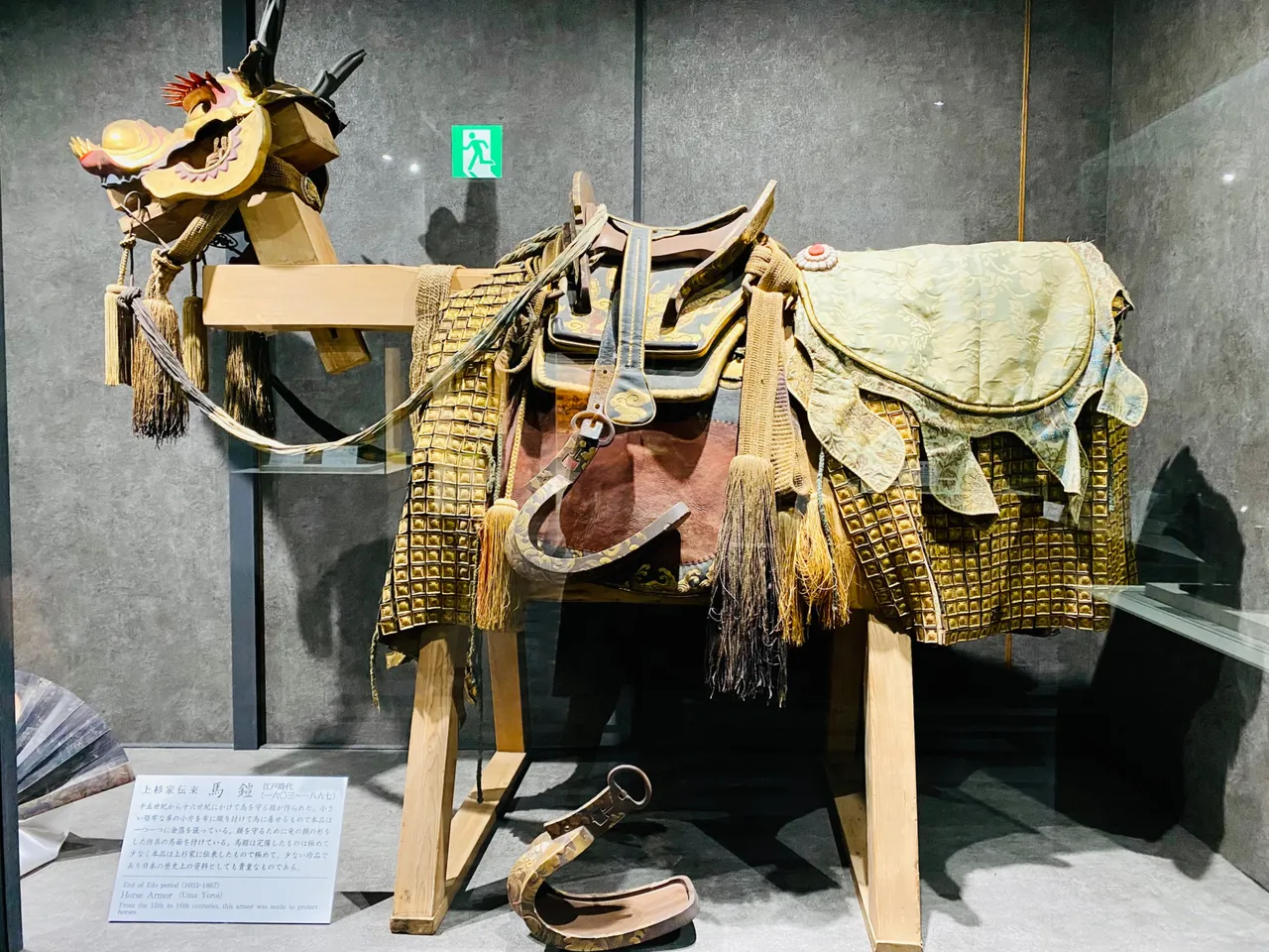 Horse armor