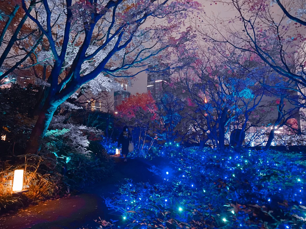 Pathway in the Japanese garden