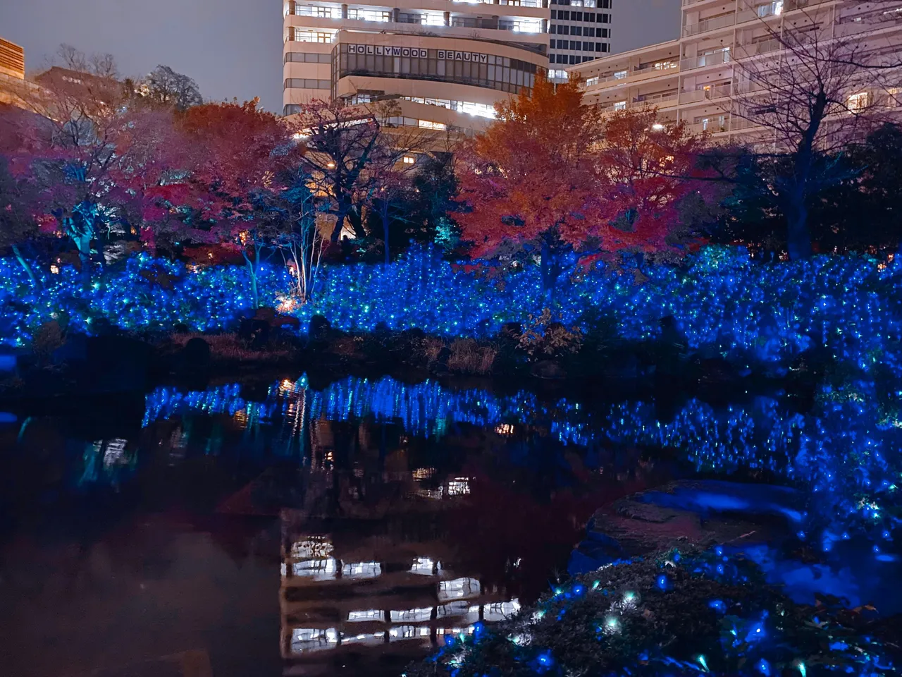 The pond