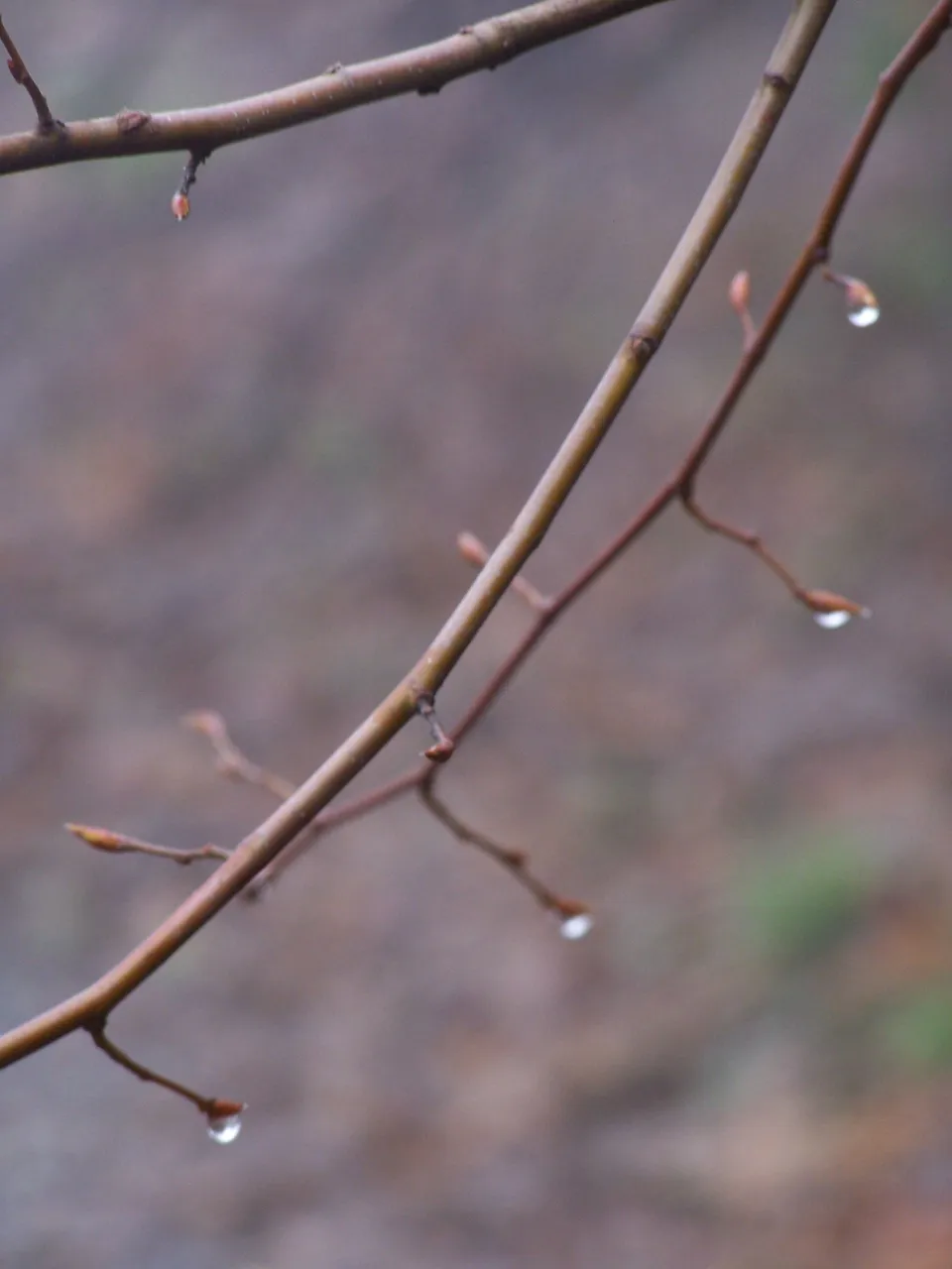 100_4756.JPG