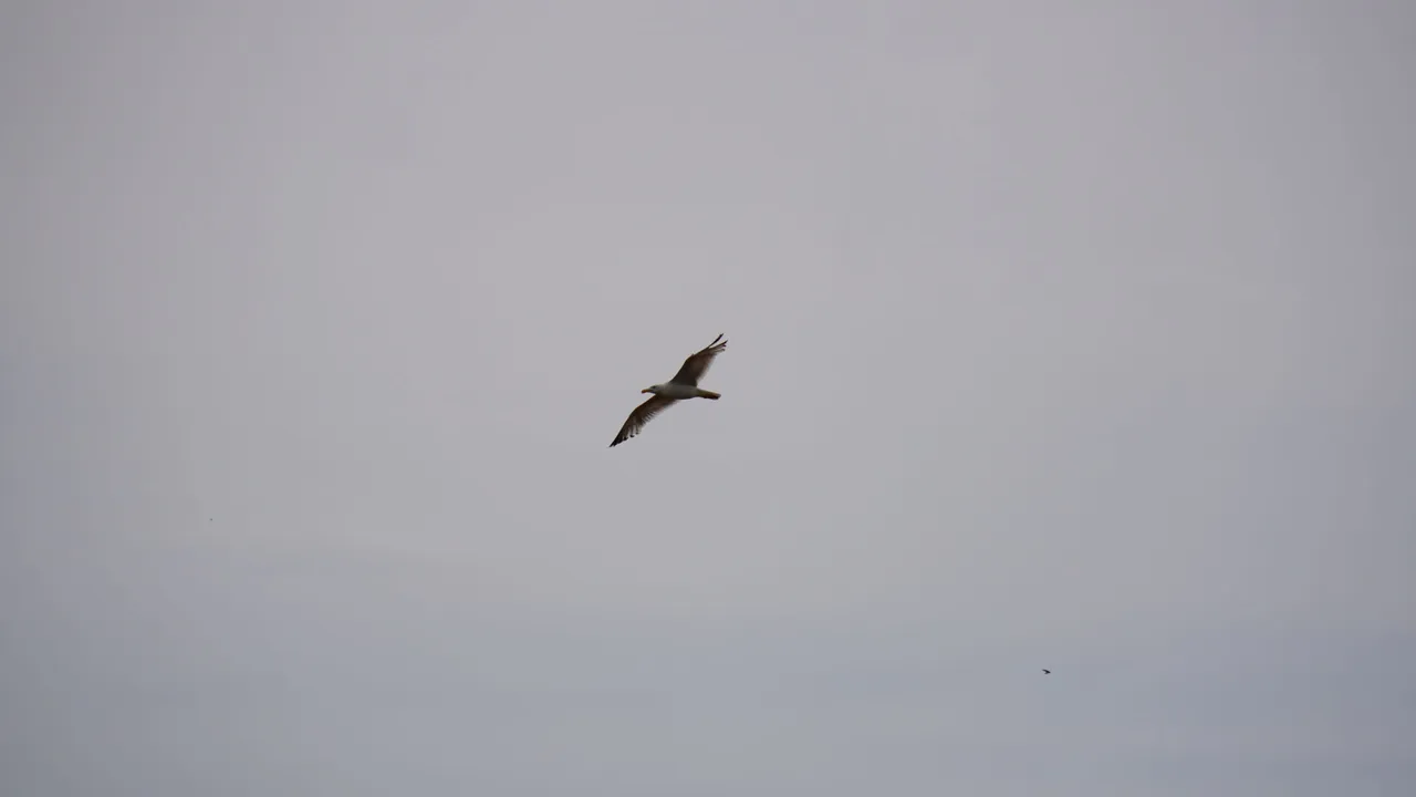 DSC09517.JPG