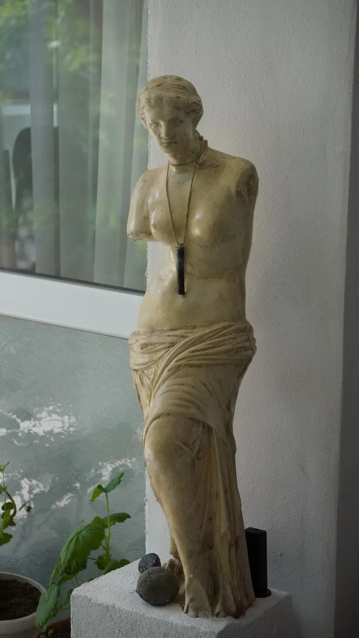 DSC09407.JPG