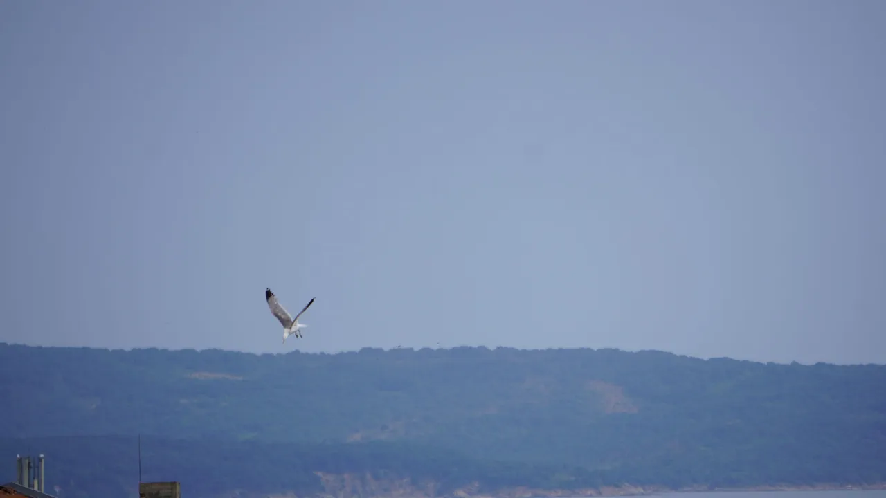 DSC09530.JPG