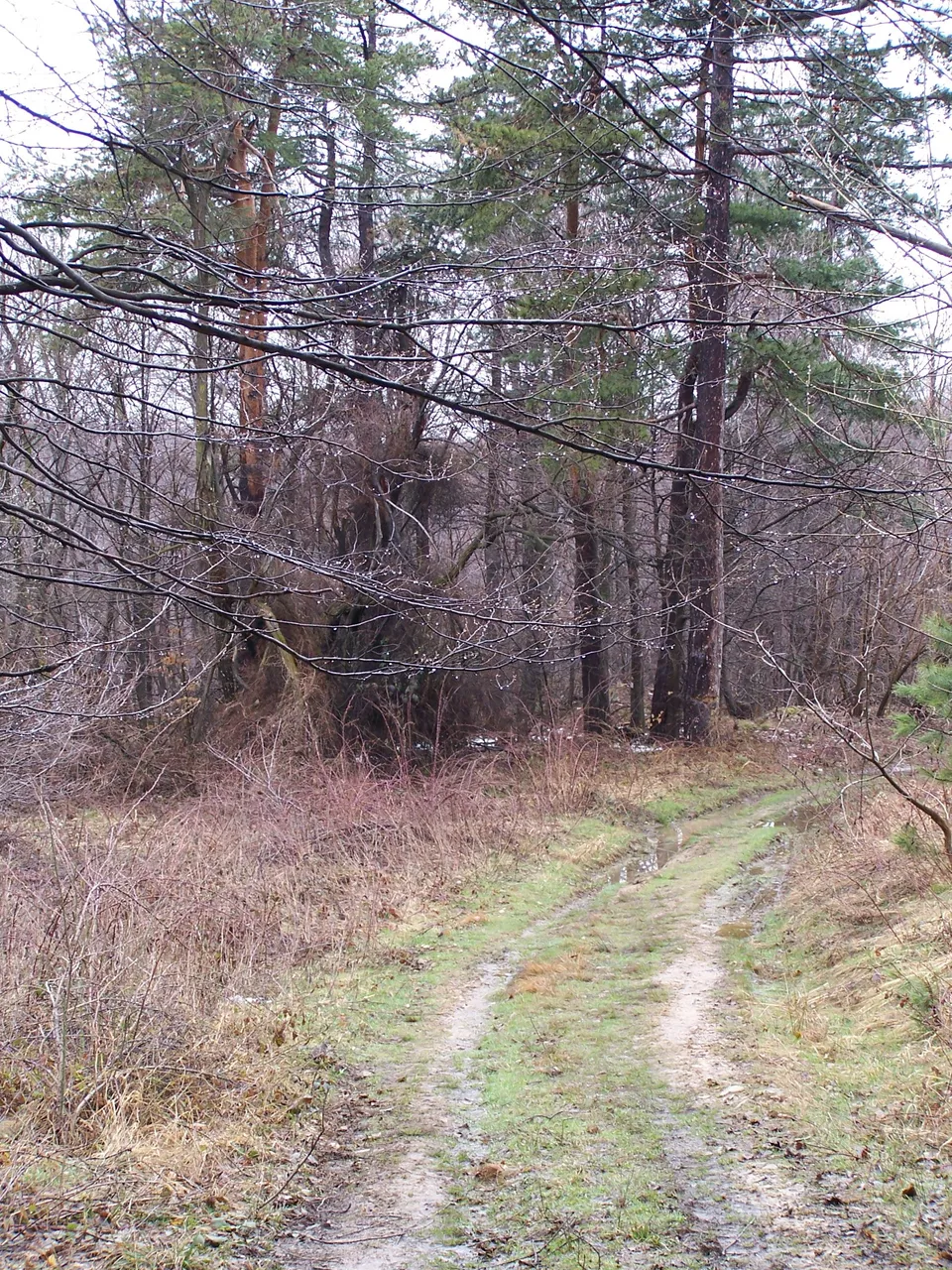100_4789.JPG