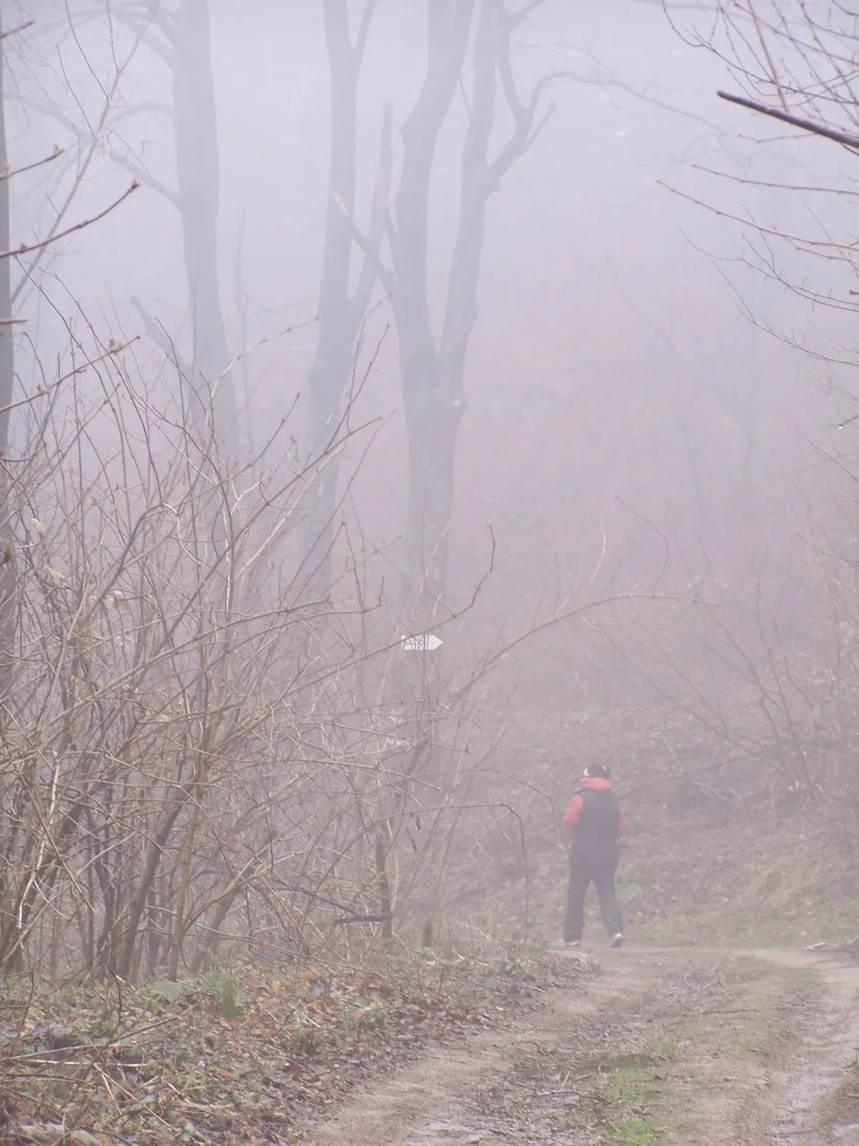 100_4752.JPG