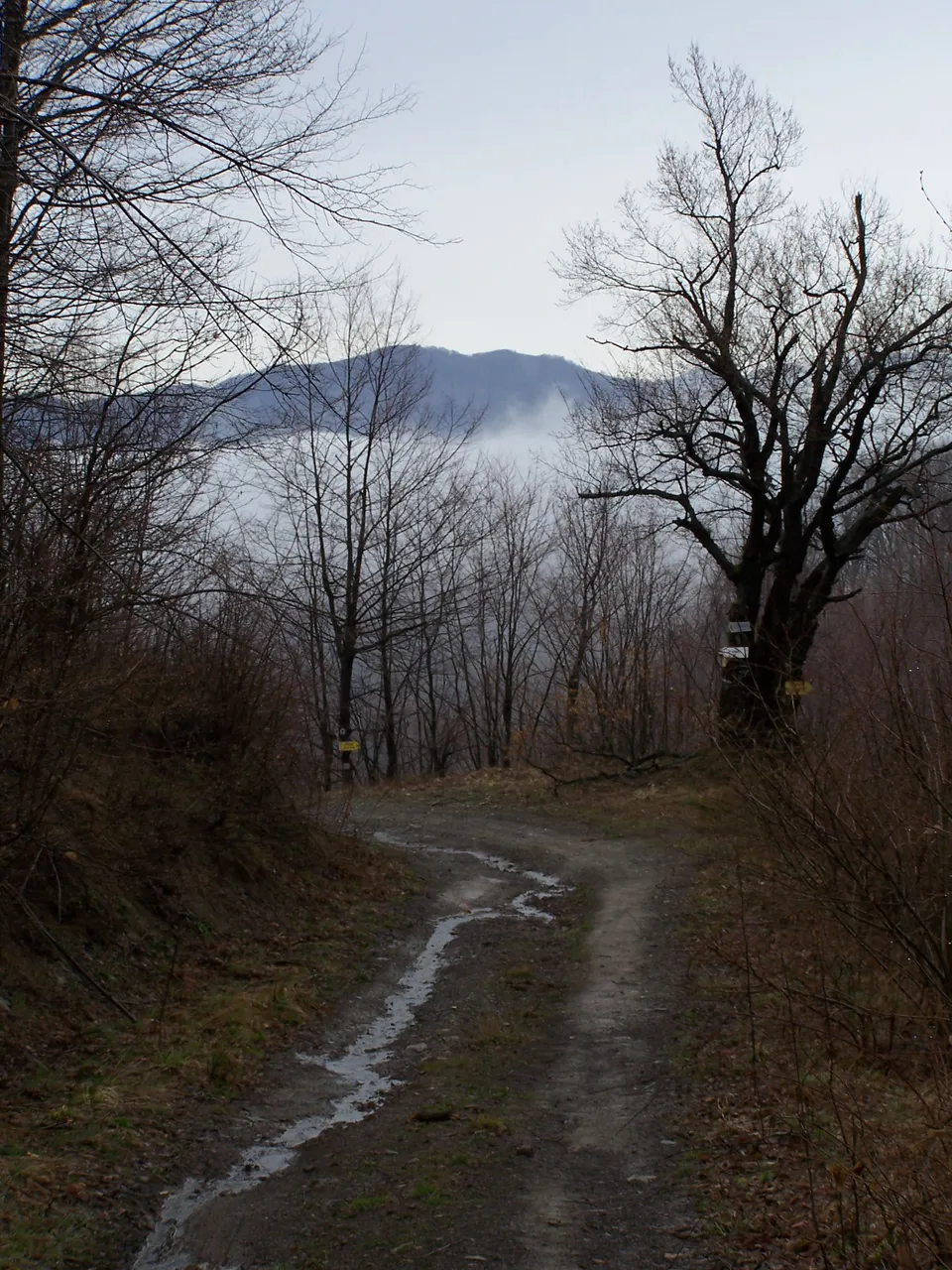 100_4783.JPG