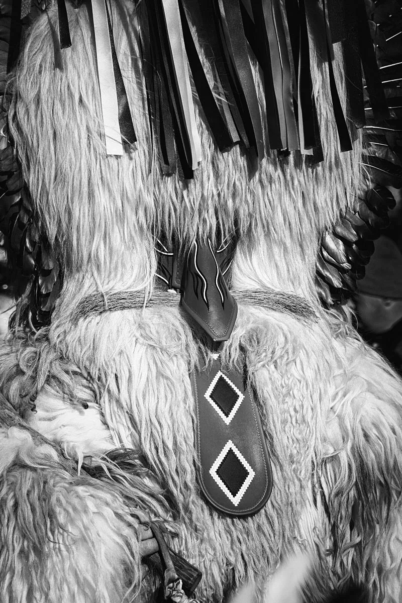 DSC04043-1-cb-1200.jpg