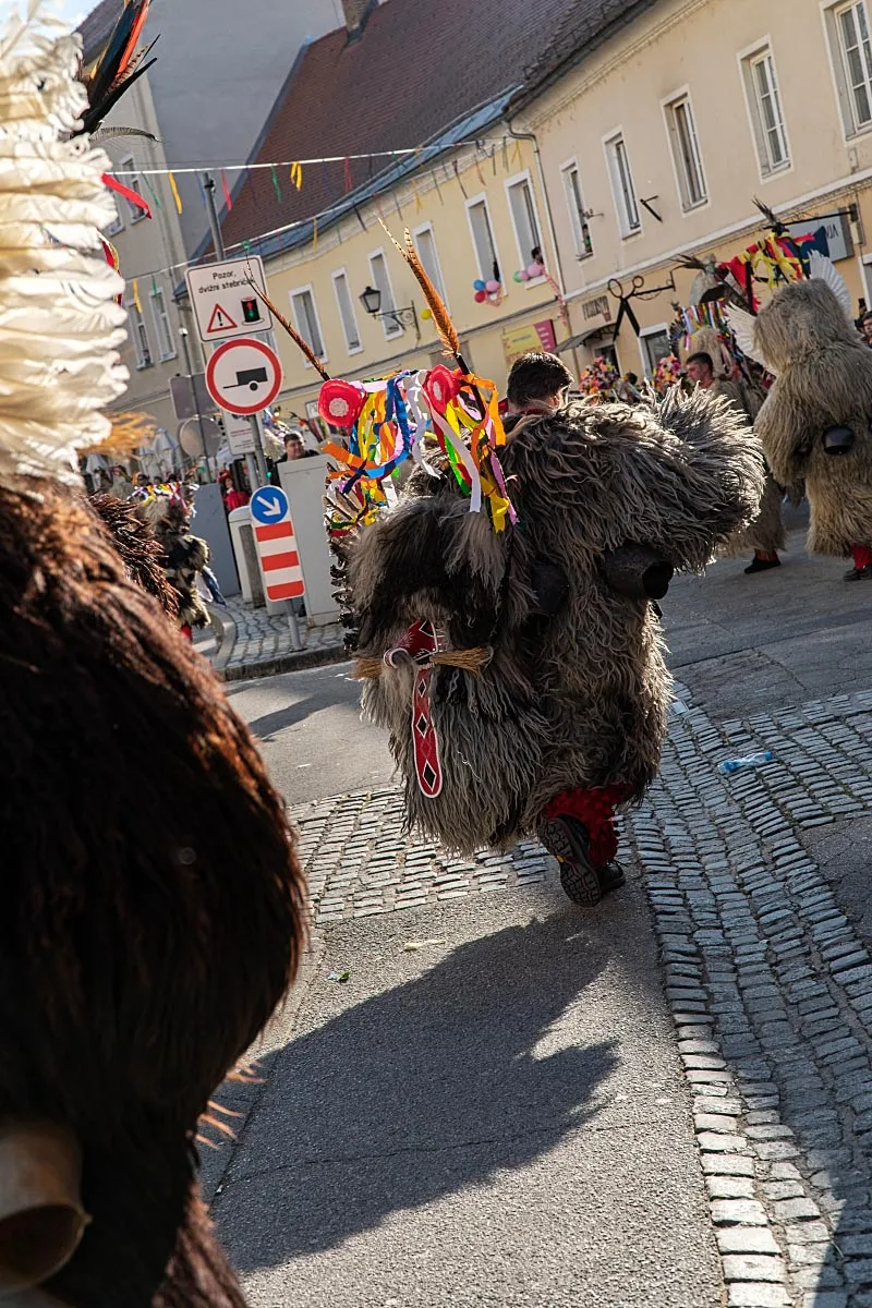 DSC03843-1-1200.jpg
