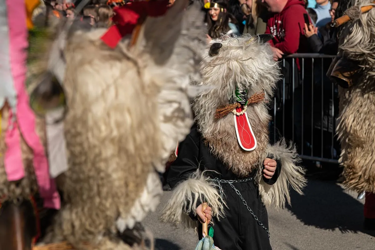 DSC03835-3-1200.jpg