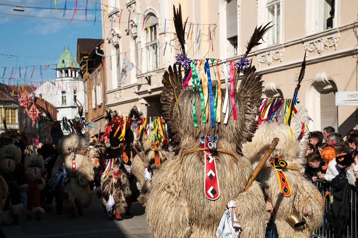 DSC03979-2-1200.jpg