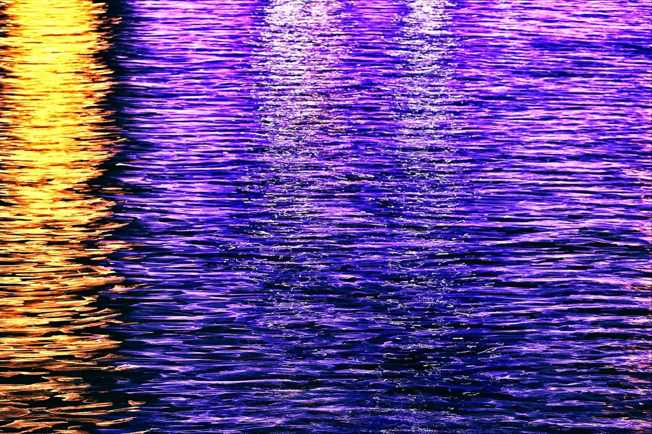 DSC08352.jpg