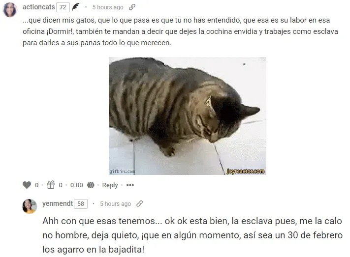 RESPUESTA A ACTIONCATS 2.jpg