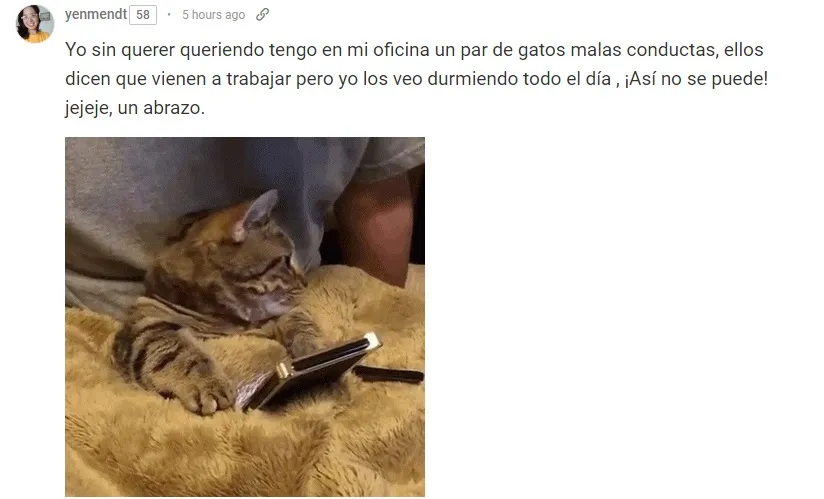 RESPUESTA A ACTIONCATS.jpg