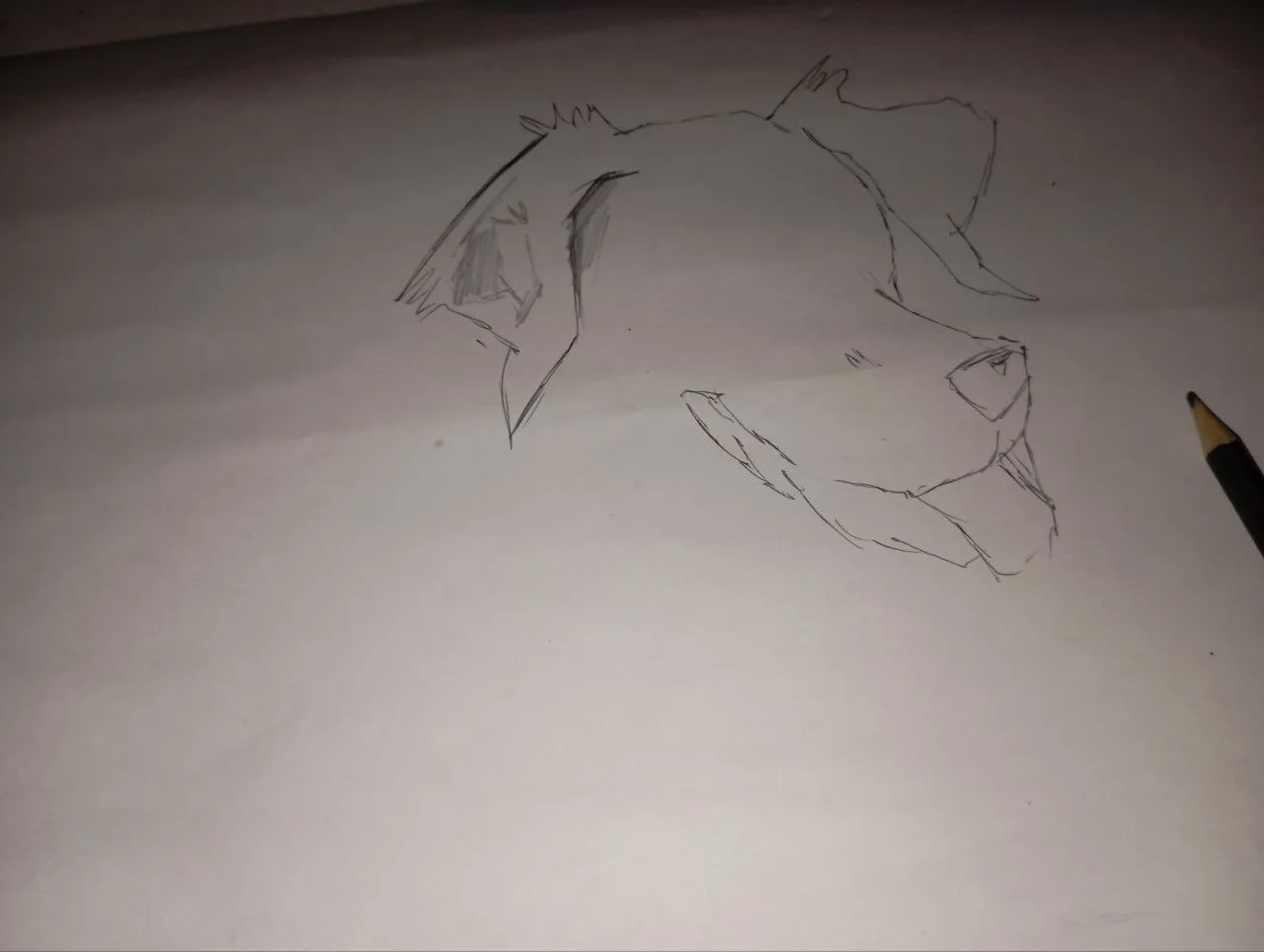 Pencil Sketch