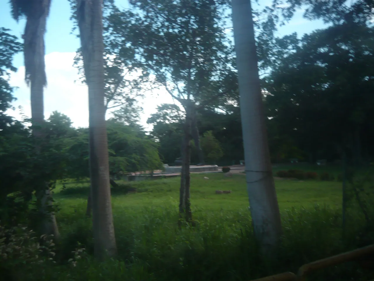 P1210302.JPG