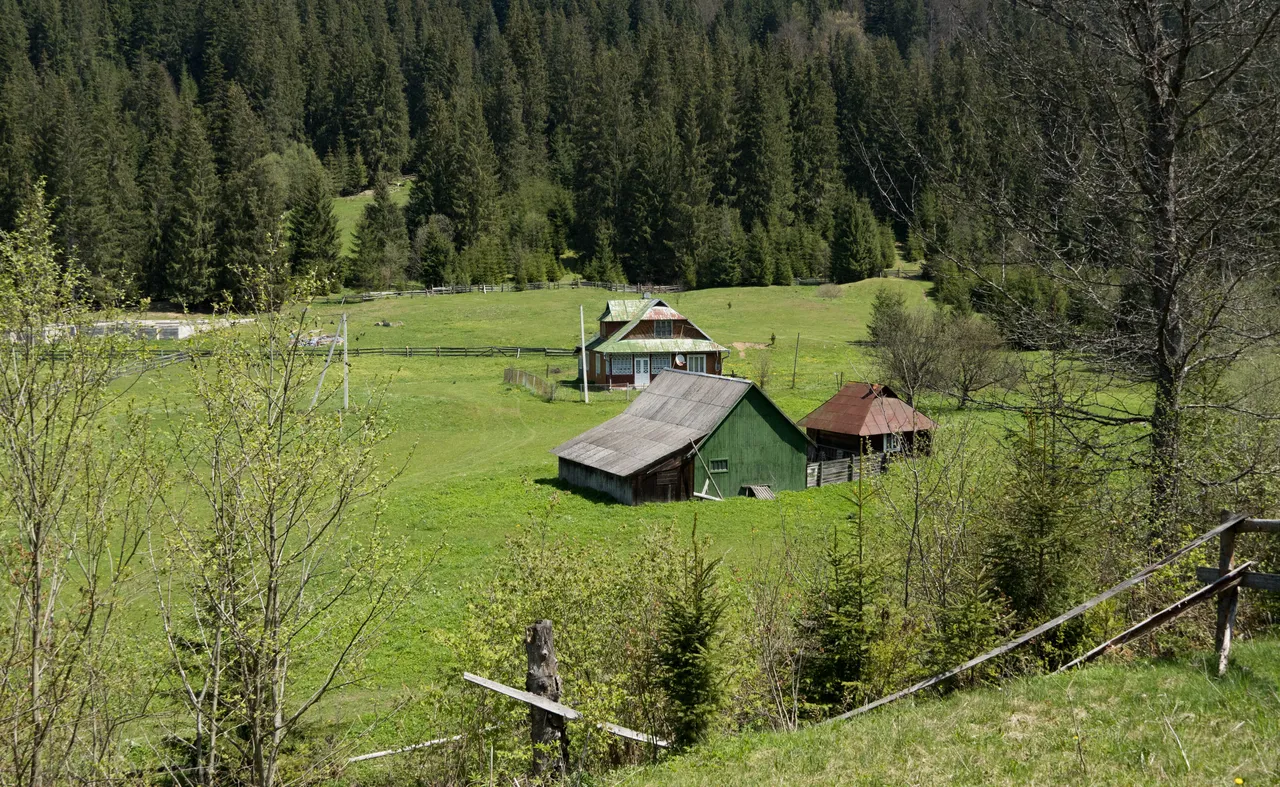 DSC01681.jpg