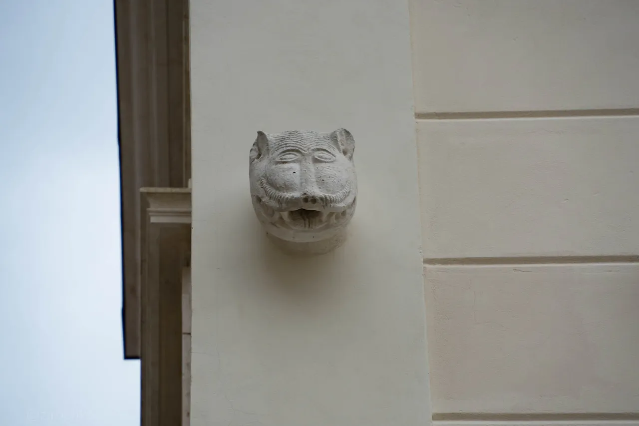 DSC09447.jpg