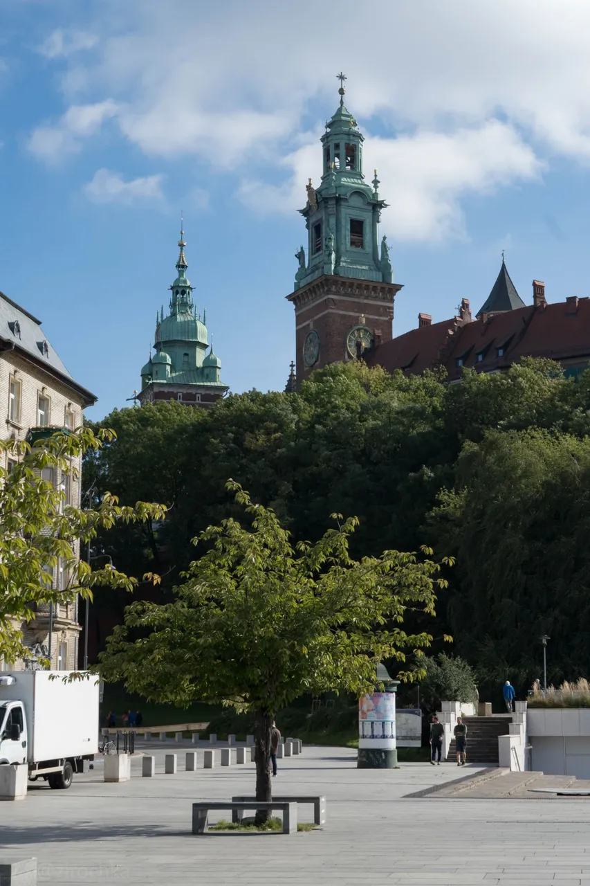 DSC08513.jpg