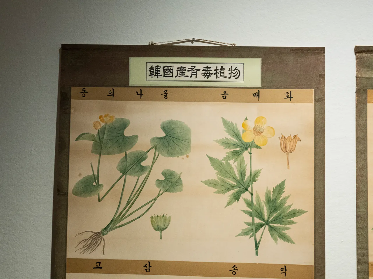 정찬영7.JPG