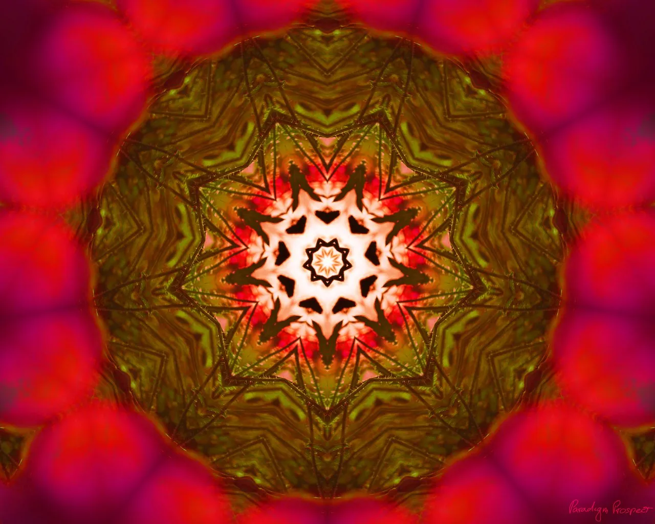 hive%20art%20community_paradigm%20prospect_b.jpg