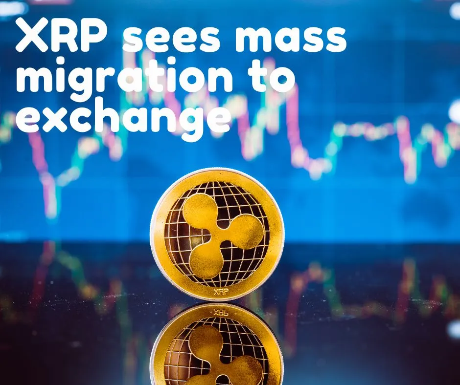 XRP sees mass migration to exchange.jpg