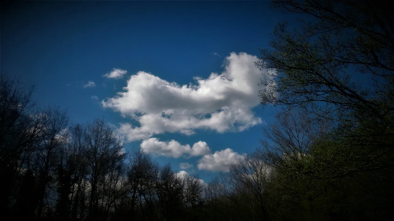 DSC_0237_copia_vineta_nubes_entre_arboles-01.jpeg