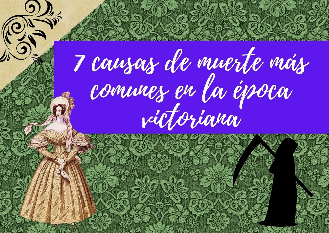 ¿sabiduría e inteligencia (1).jpg