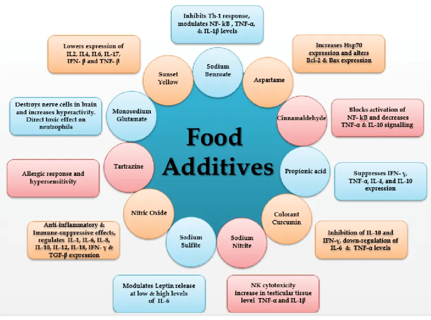 Immunomodulatory-properties-of-Food-Additives.png