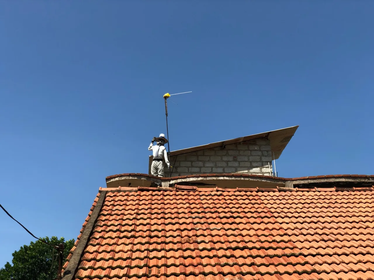 Chimney scarecrow