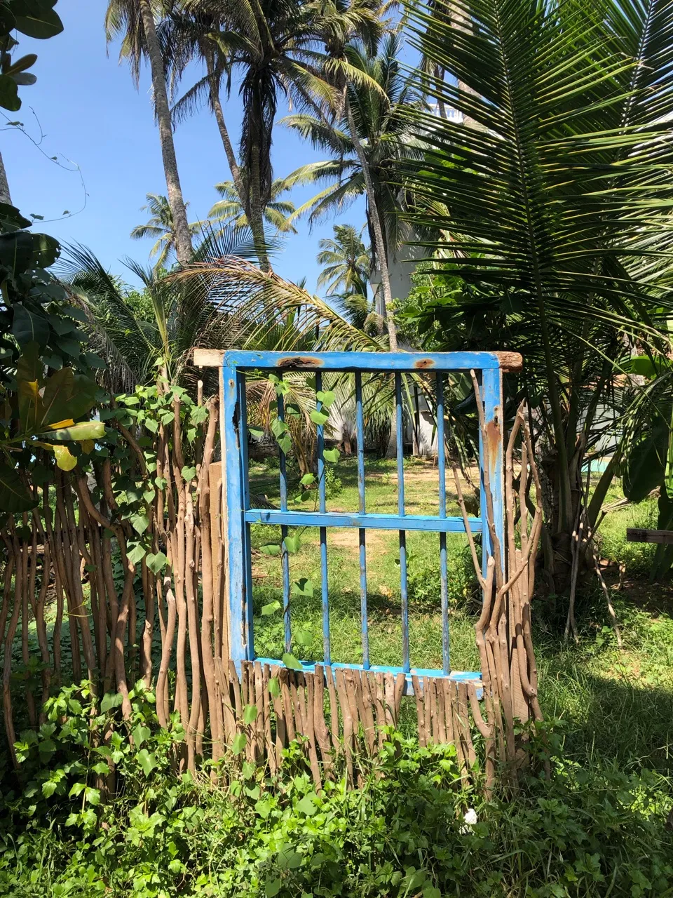 Gate with a window
