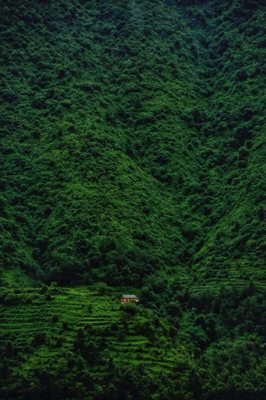 https://s3.us-east-2.amazonaws.com/partiko.io/img/hozukimangetsu-greenary-and-a-lone-house-life-bfikncff-1537113586651.png