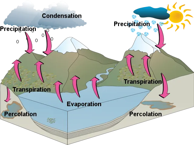 imogen_t_water_cycle_lyneham_high_final_copy.png