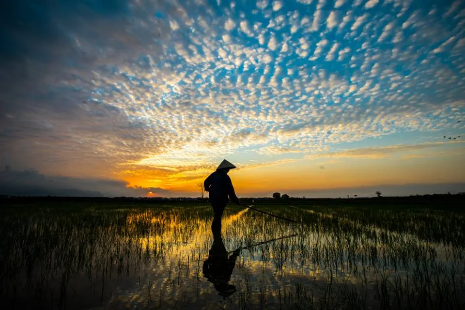 Hoi An, outside the Ancient Town.jpg