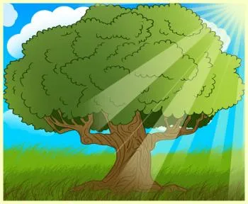 fz7_how-to-draw-an-oak-tree-tutorial-drawing.jpg