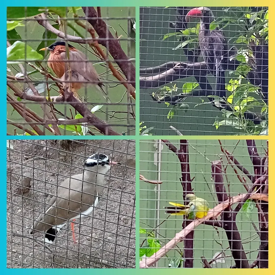 I7AOZCXVZyUwY9p9_White_and_Blue_Collage_Summer_Instagram_Post_20240819_125040_0000.webp