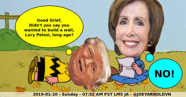 pelosi meme trump