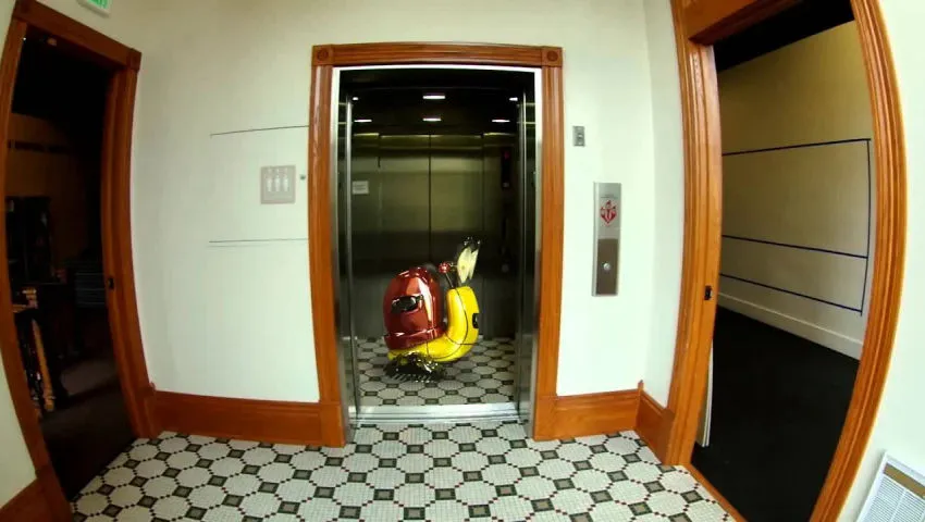Salem the Snail in Elevator