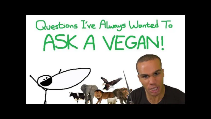 Questions I've Always Wanted To Ask a Vegan (Part 1)