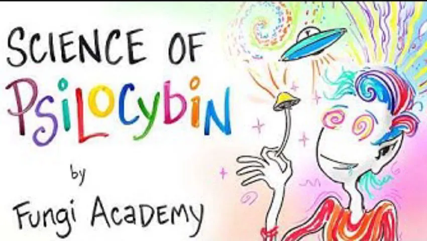 Science of Psilocybin - How it Works & Why it Exists