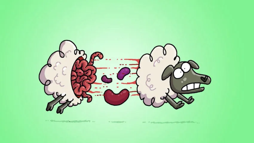 Counting Sheep NIGHTMARE Fuel | Cartoon Box 400 | by Frame Order | Hilarious Cartoons