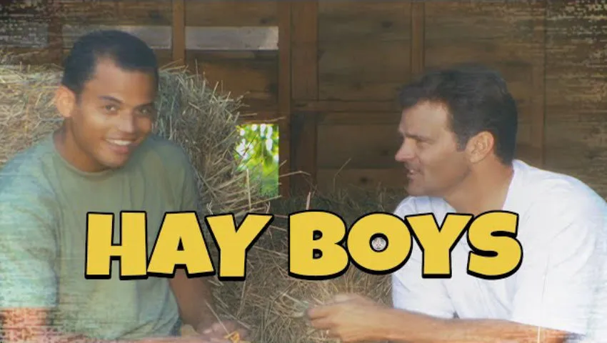HAY BOYS