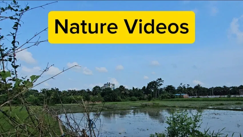 Touching nature from the moving road