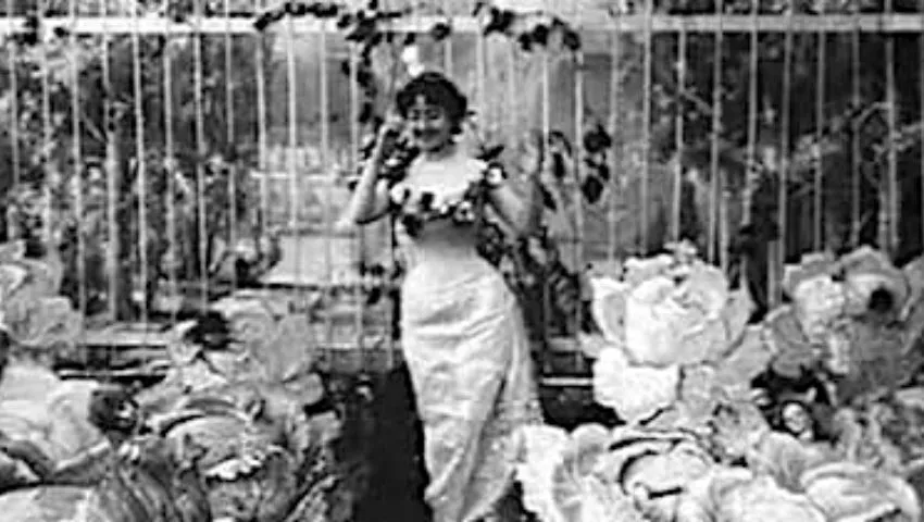 The Cabbage Patch Fairy / La fée aux choux (1896-1900)