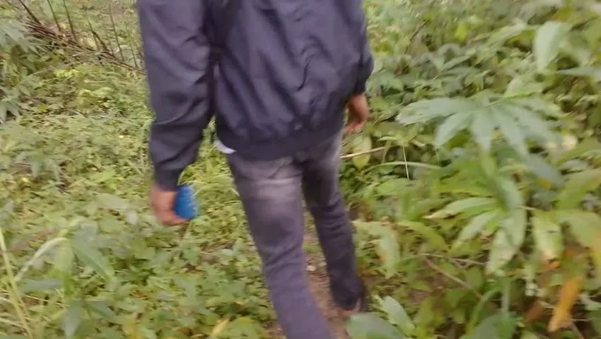 A beautiful adventure, a walk in the Bush