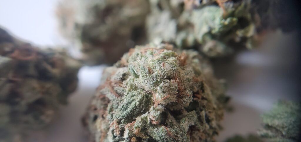 death star cannabis photo