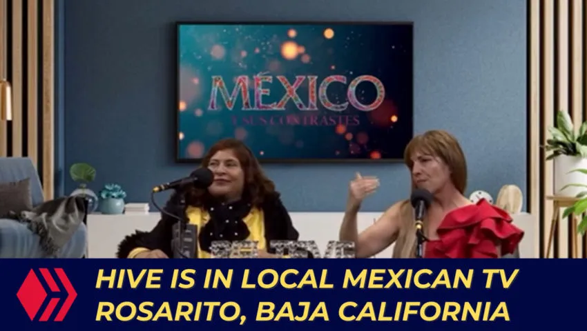 Hive is in Local Mexican TV, Rosarito, Baja California