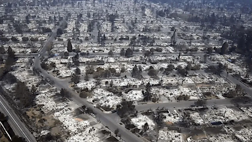 48-yr Arborist questions Maui WildFire and shares insights.